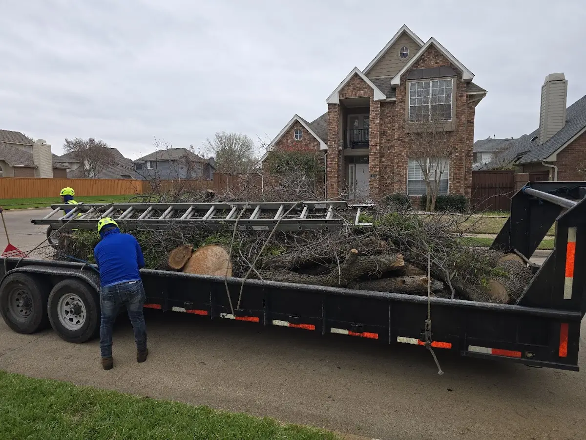 Expert Tree Fertilization with proper safety equipment in Rocky River